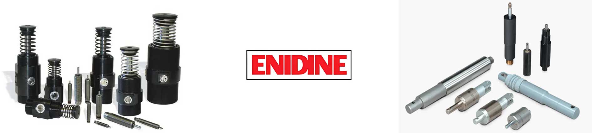 美國(guó)ENIDINE安立定